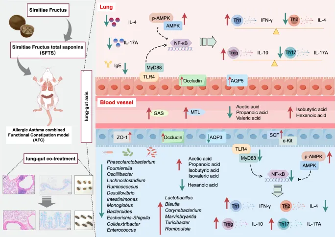 20260115_180314_654.png 无标题.png