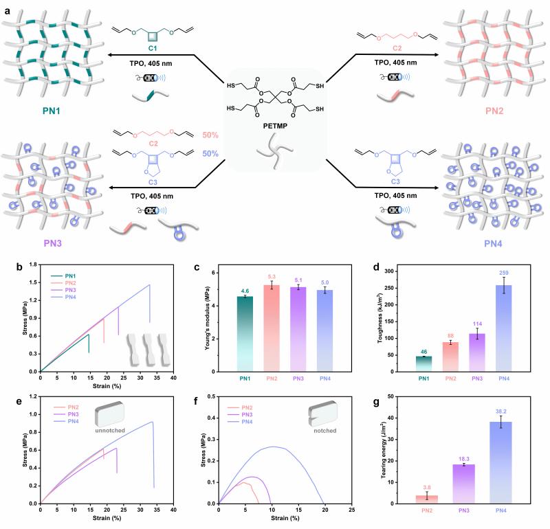 20260115_095704_803.jpg 图2.jpg