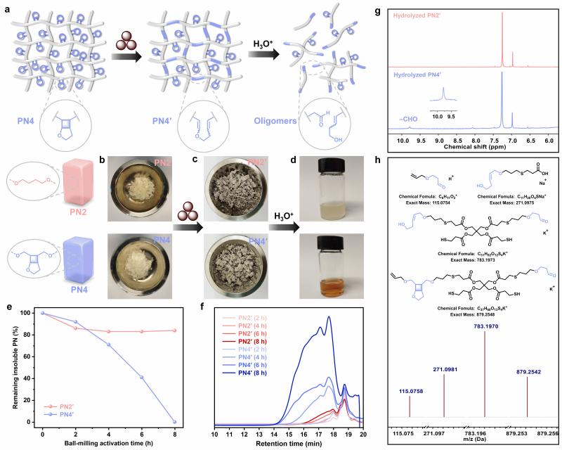 20260115_095729_558.jpg 图4.jpg