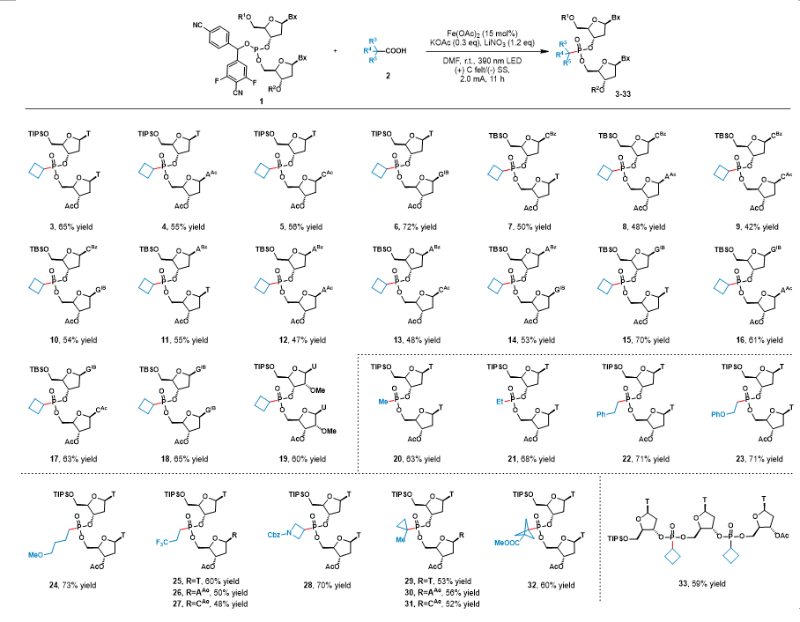 20260107_103643_429.png 3.png