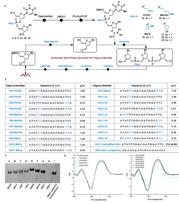 20260115_094314_574.png ff29be0a89f68c957d9d4154b3ba016.png
