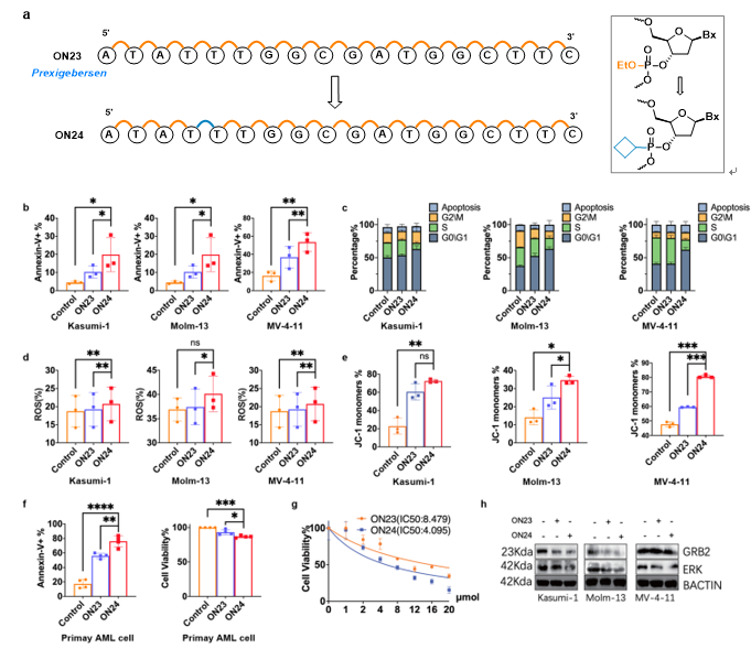 20260115_094407_957.png 4.png