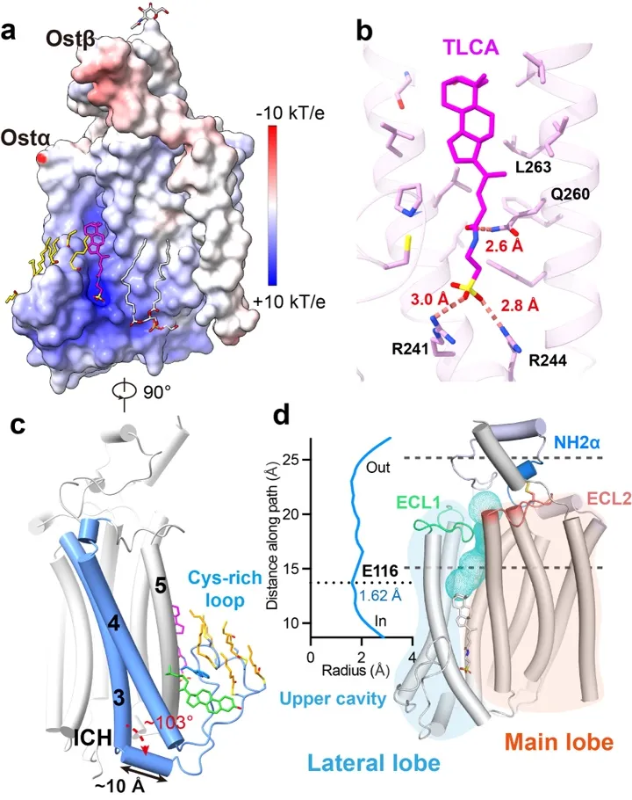 20260130_215726_286.png 03.png