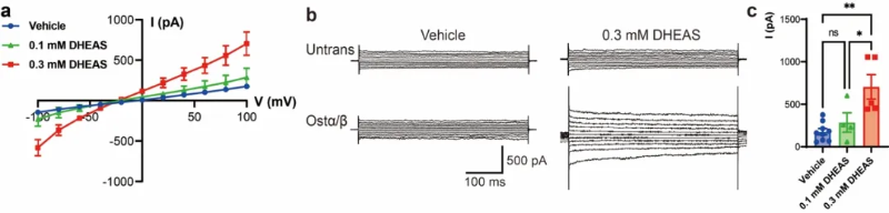 20260130_215738_598.png 04.png