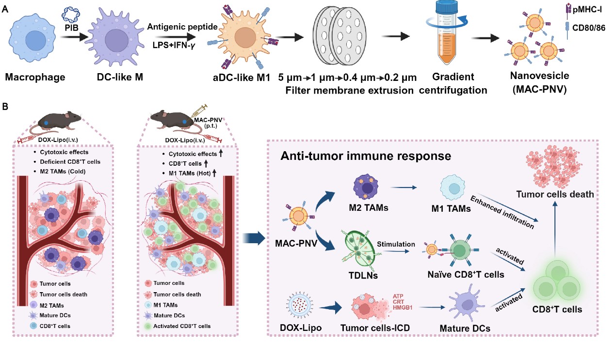 d2d085a9703846199b4aa88e1bca11fe.jpg d2d085a9703846199b4aa88e1bca11fe.jpg