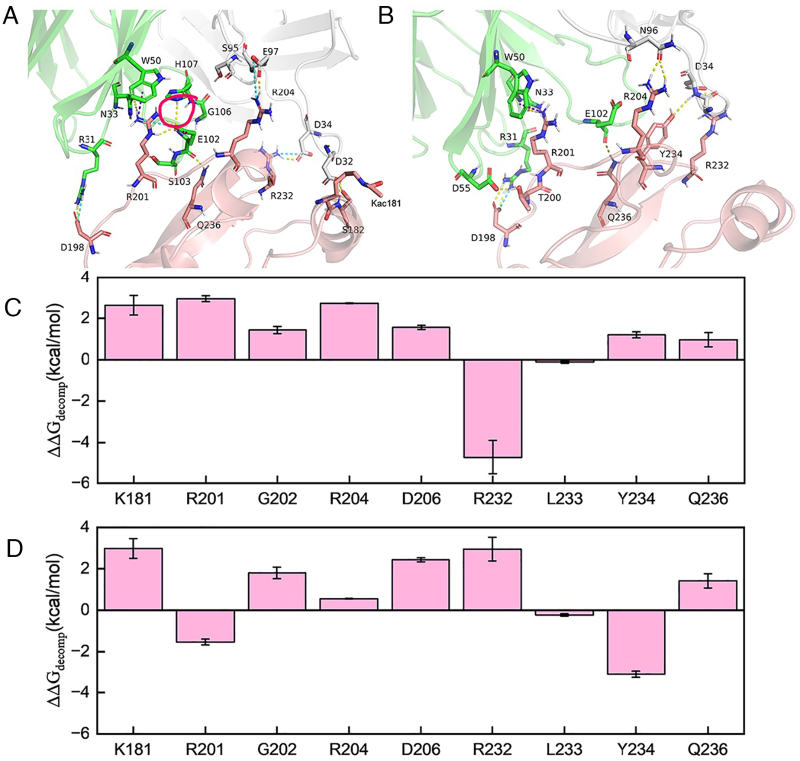 20260301_105622_677.png 3.1-3.png