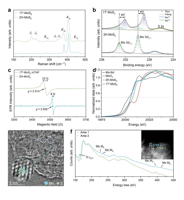 20260211_092051_491.jpg 圖片3.jpg