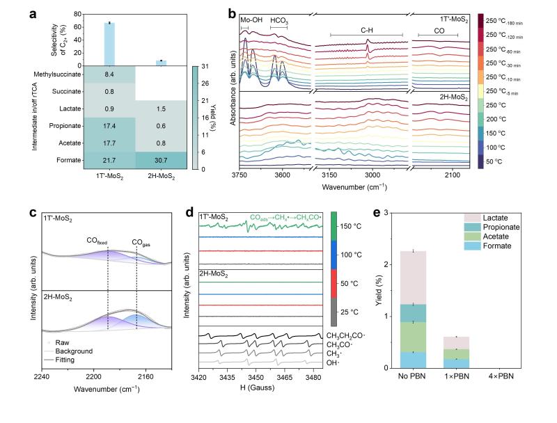 20260211_092055_174.jpg 圖片4.jpg