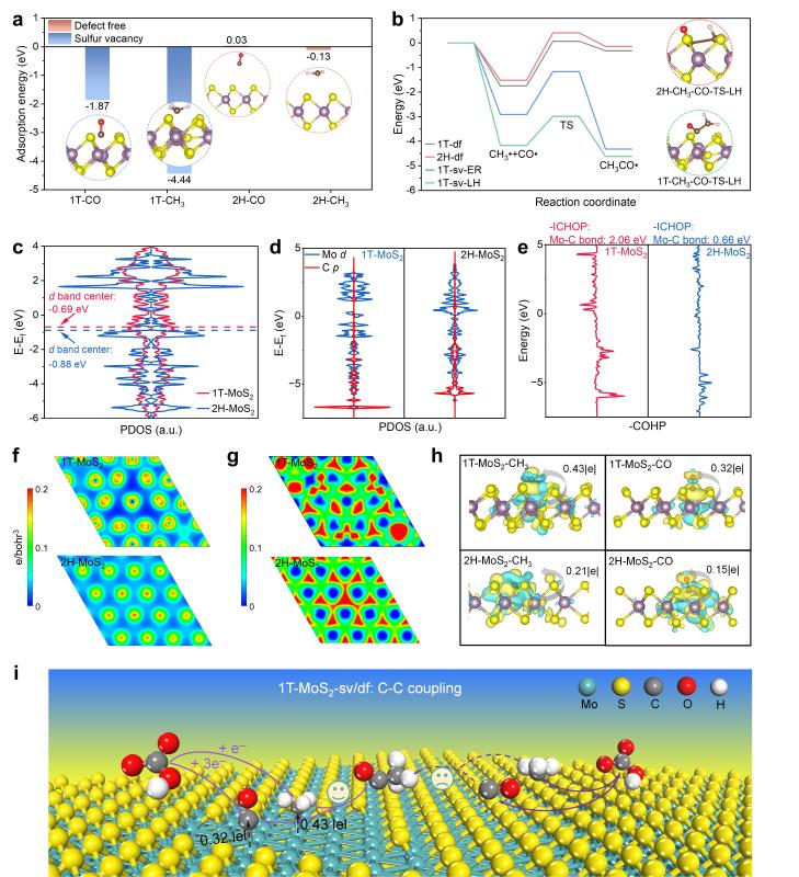 20260211_092102_614.jpg 圖片5.jpg