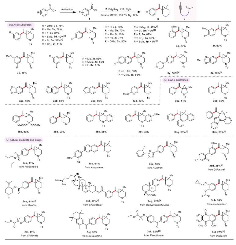 c6bc55ae-138d-4852-a22a-950f233941a7.png
