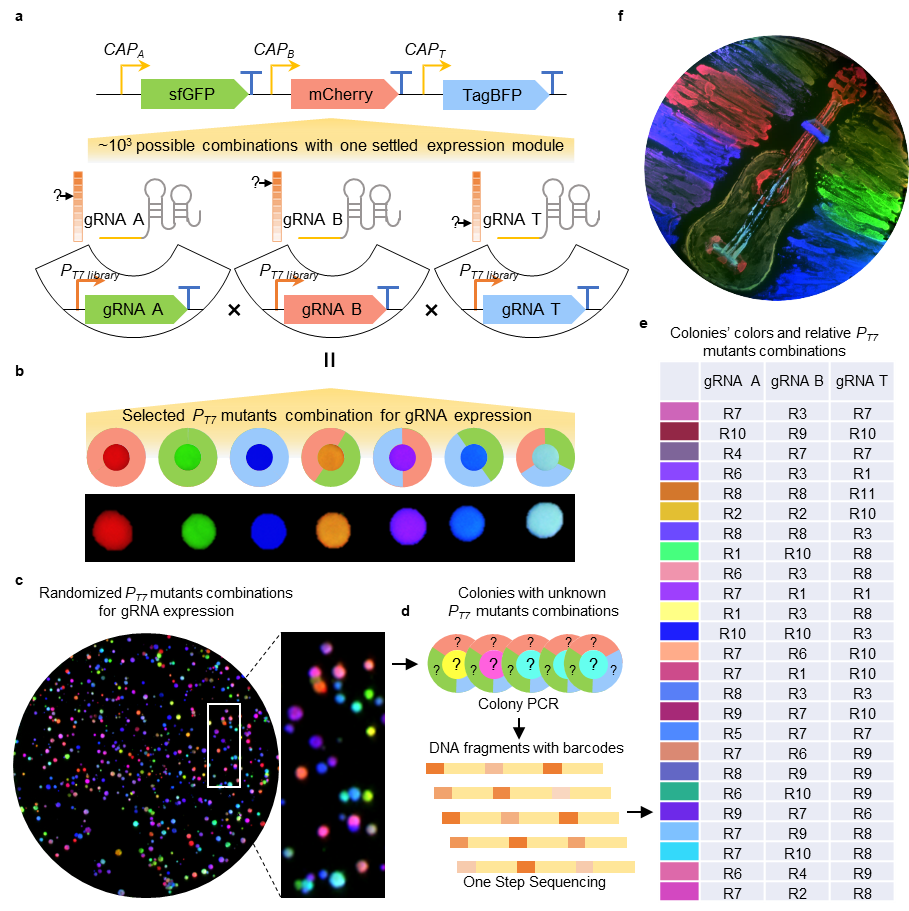 image3.png
