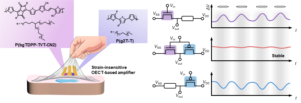 image1.png