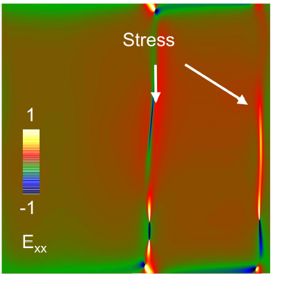 image1.png