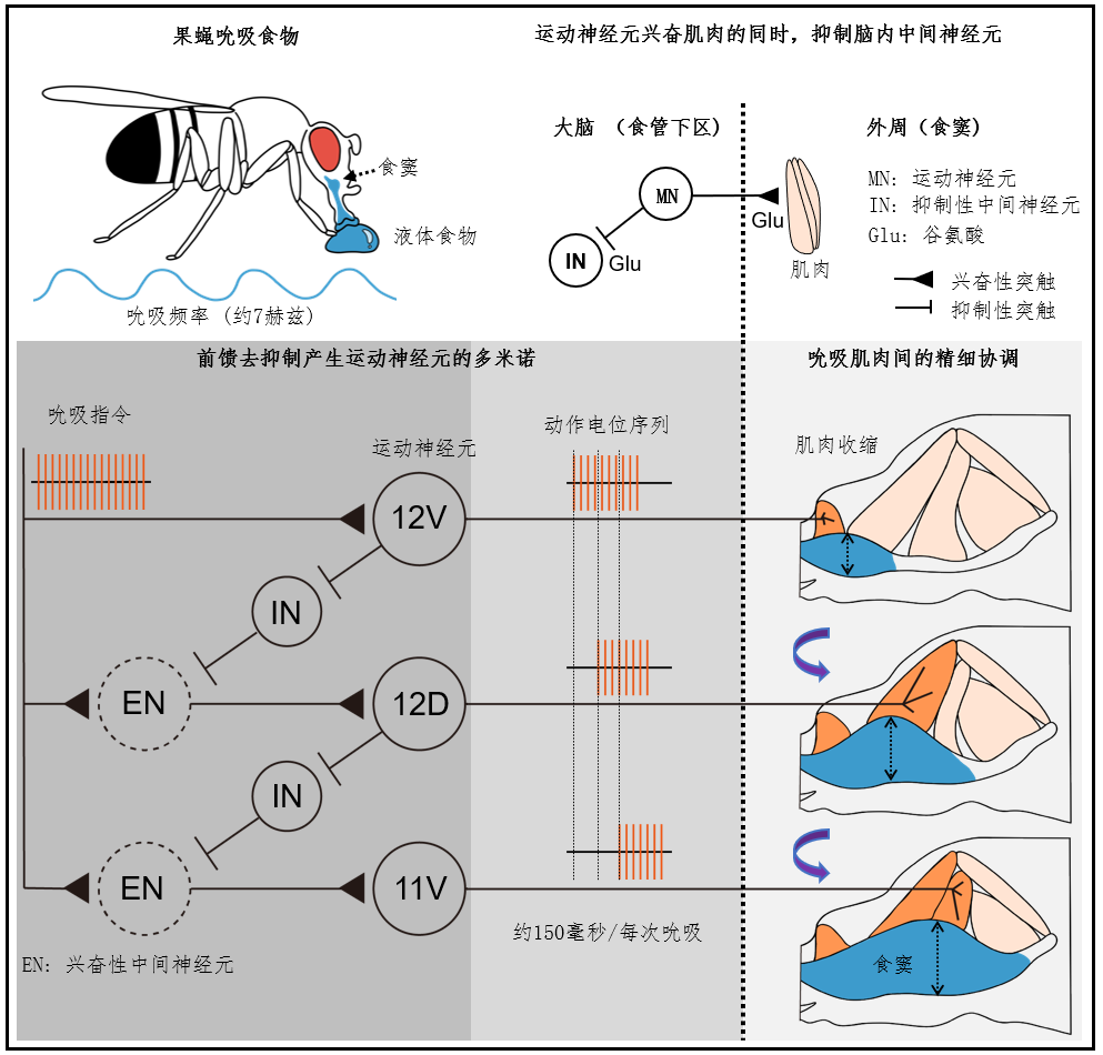 微信图片_2026-08-26_141349_063.png